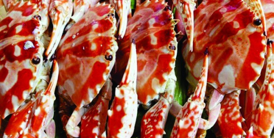 Cho thuê toàn bộ nhà hàng Rẻ hơn 60% giá TT hiện tại,MT đường Võ Nguyên Giáp VIP