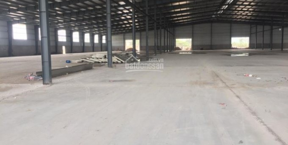 Cho thuê gấp xưởng ở Cụm CN Minh Hải. DT 2500M2, Có thể ngăn 600m2 trở lên: lh 0