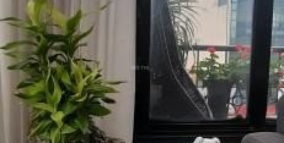 Mặt tiền Hàng Muối, 25m, 4 tầng, vị trí phố đẹp, nhà đẹp kinh doanh gì cũng được