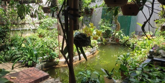 nhà sân vườn cho thuê tại quận hoàng mai