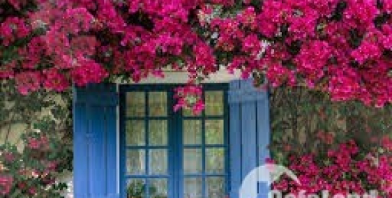 Cho thuê nhà 3 tầng, hai mặt tiền đường Nguyễn Văn Thoại, vị trí đẹp, sầm uất.