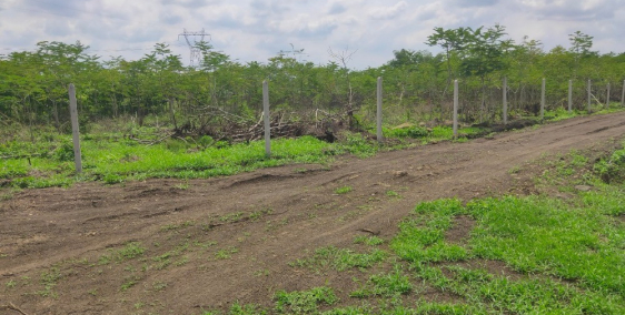 Do cần vốn làm ăn nên cần bán gấp miếng đất 1300m2 ở xã Hưng Thịnh, Trảng Bom.