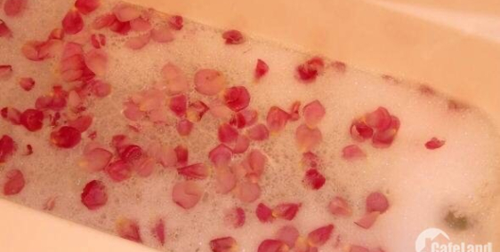 Cần cho thuê căn hộ 70m2 tại Tạ Quang Bửu giá 8.5tr/tháng