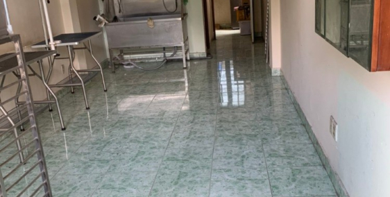 cho thuê căn nhà Nguyễn Thái Sơn ,phường 5 ,Gò vấp , tphcm