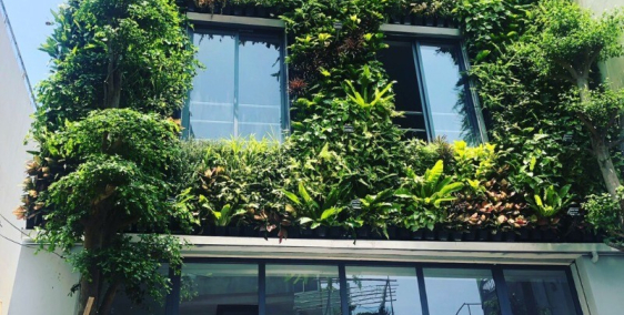 Cho thuê căn gồm 20 CHDV tuyệt đẹp tại Lê Văn Sỹ P.10 Q.phú Nhuận.