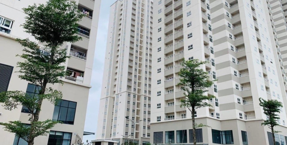 Thị trường bất động sản đang sôi sục với dự án Mipec Kiến Hưng Hà Đông với mức g