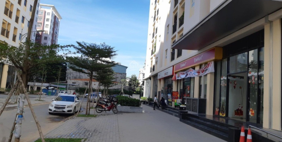 Shop house + căn hộ 250tr/40m2 SHR sàn lát gỗ full nội thất đã hoàn thiện