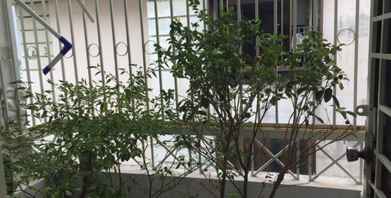 Bán Căn hộ Q11, 2PN 63m3 tặng full nội thất, giá 2 tỉ 3