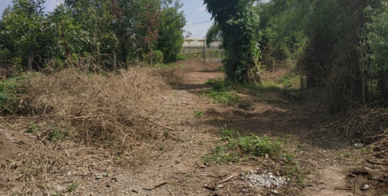 BAN DAT NEN XA LONG PHUOC HUYEN LONG THANH DONG NAI