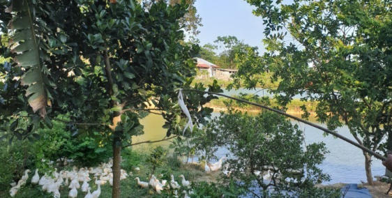 Chính chủ cần bán gấp lô đất Tại Thị Trấn Thắng- Hiệp Hòa- Bắc Giang