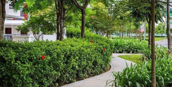 Chính chủ cần bán căn góc giữa ST5 Gamuda giá rẻ nhất thị trường. 0941670869