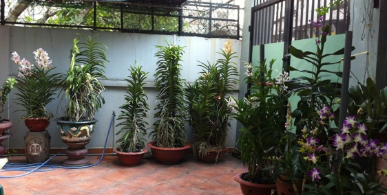 Bán căn nhà đường Bùi Đình Tuý, P24, Q.BT ngang 6,1m dài 19,4m, hướng đông