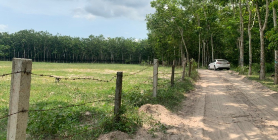 Đất chính chủ giáp suối sát trường tiểu học Dầu Tiếng Bình Dương