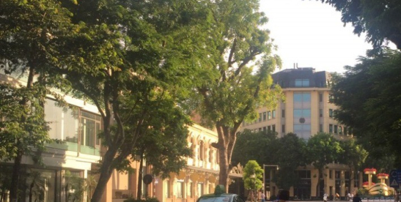 Mặt phố Đống Đa, lô góc 30mx6t, MT3.3m giá 8.35 tỷ