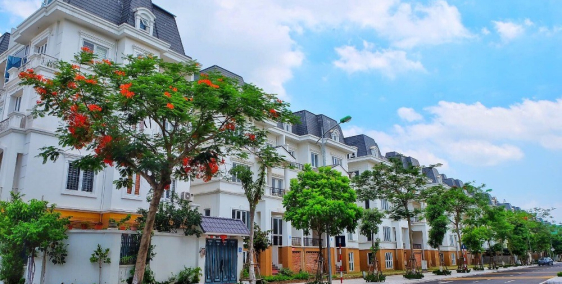 biệt thự song lập và đơn lập lhu liền kề