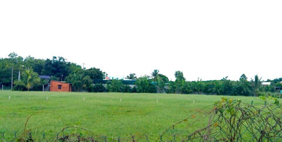 Đất Sài Gòn giá cực SHOCK !!!!!*** Mại dzô mại dzô ***