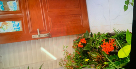 Bán nhà nhỏ Q7, SHR, nhà mới đẹp