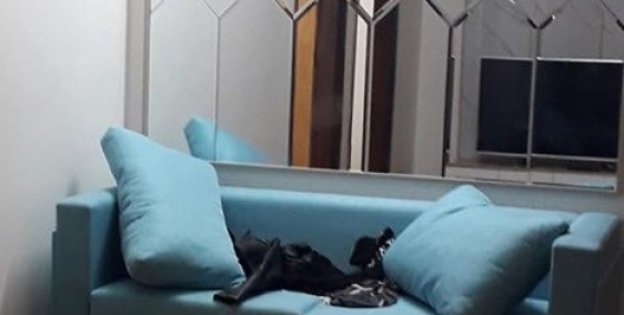 Cần bán nhà Mặt ngõ Phố Quán Thánh giá 5.3 tỷ, 28mx5T, sử dụng luôn