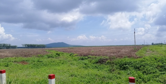 Gia đình cần tiền bán gấp lô đất Dầu Tiếng rộng 1000m vuông giá 390 triệu đồng