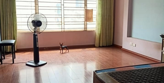 CỰC HÓT!! LÔ GÓC 3 THOÁNG, KINH DOANH, ĐẠI TỪ, HOÀNG MAI, 44M2 4 TẦNG 3.4 TỶ