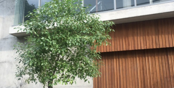 Bán nhà phố quận Tân Phú 10 tỷ