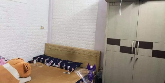 BÁN NHÀ Đinh Công Thượng,DT 42M2,5 TẦNG ,GIÁ NHỈNH 2 TỶ LH 0332326742