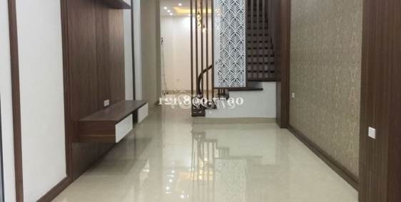 nhà nguyễn ngọc nại thanh xuân siêu phẩm-ô tô tránh- kinh doanh đỉnh- đẹp lung l