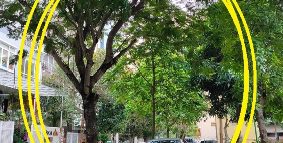 Nhà Sang KD sinh lời ở ngay oto tranh Phu Dien 50m 3 ty