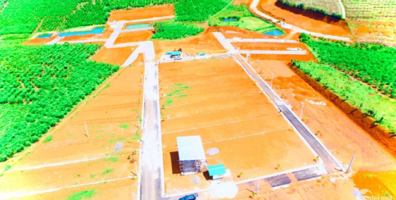 Đất Nền Khu Biệt Thự Nghỉ Dưỡng Cao Cấp Pine Valley!!!