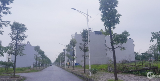 Bán đất biệt thự 200m2 a1.3 bt10-4 ở thanh hà cienco 5 chính chủ