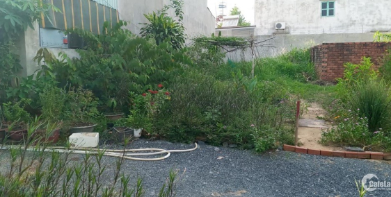 Đất nên thổ cư chinh chủ giá rẻ cho công nhân !