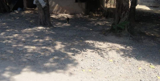 Chính chủ cần bán lô đất đẹp ấp Lộc Hưng – xã Lộc Giang – H.Đức Hòa – Long An