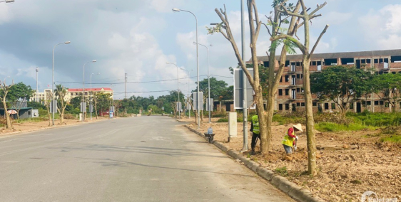 Chuyển nhượng lô đất anh dũng 6  Giá chỉ từ 12trieu/m2