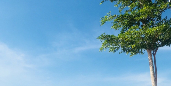 Bán đất nền Nam Hội An city, view sông gần biển