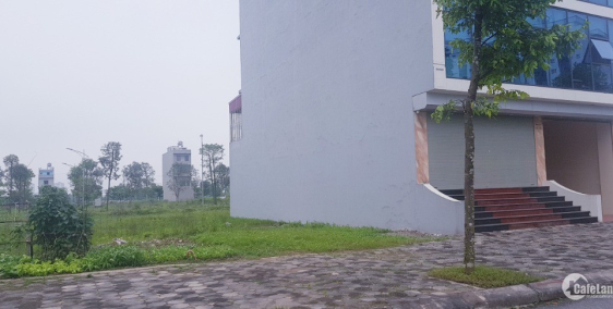 Bán gấp đất nền liền kề B1.4 LK39 lô 3, 4 thanh hà cienco 5 góc 18tr/m2