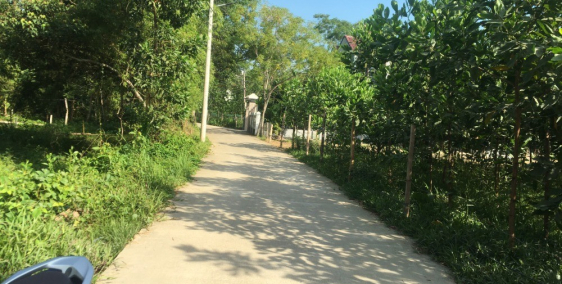 Lô góc Hòa Phong siêu đẹp đường liên thôn 4m 106m2