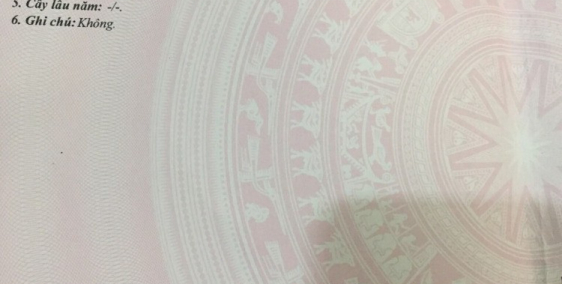 Hot! Bán lô đất 878m2 gần nhà Văn Hóa Bãi Sậy 3, Tân Dân, Khoái Châu