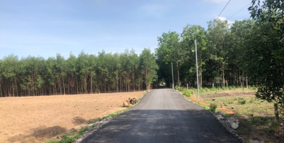 Chính chủ bán 1 mẫu đất Tân Hiệp, gần sân bayLong Thành có thổ cư, 2.2 triệu/m2