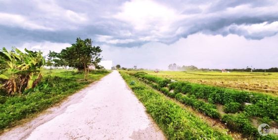 [Cực phẩm] Đất nằm ngay tại 4 dự án lớn tại Ngọc Mỹ