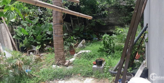 BÁN ĐẤT NGÕ 218 LẠC LONG QUÂN, TÂY HỒ, CHUNG CƯ MINI, 78M, 4 TỶ 3. LH 0945262238