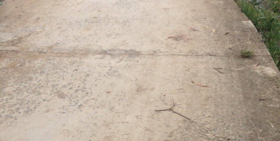 ĐẤT RẺ XÃ NHỊ THÀNH, THỦ THỪA. ĐƯỜNG BÊ TÔNG 6M DÂN CƯ ĐÔNG