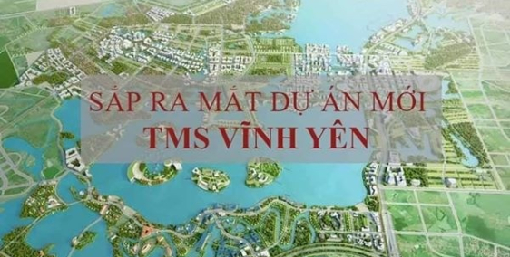 TMS ĐẦM CÓI VĨNH YÊN VĨNH PHÚC