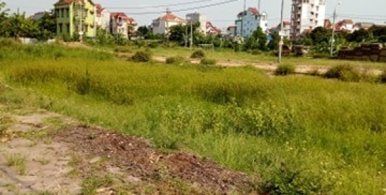 Cần bán hai lô đất liền kề nhau tại Minh Châu, Yên Mỹ, Hưng Yên