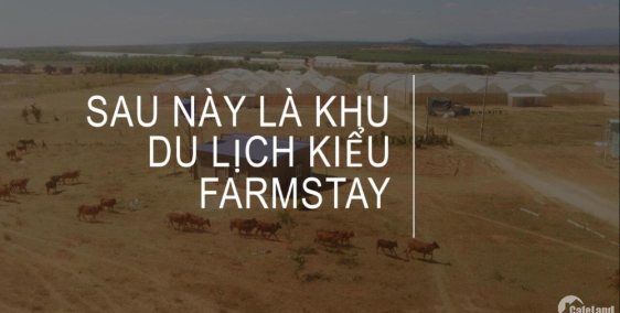 Đất nền GIÁ RẺ đẳng cấp nhất Châu Á gần biển chỉ còn 2 nền .