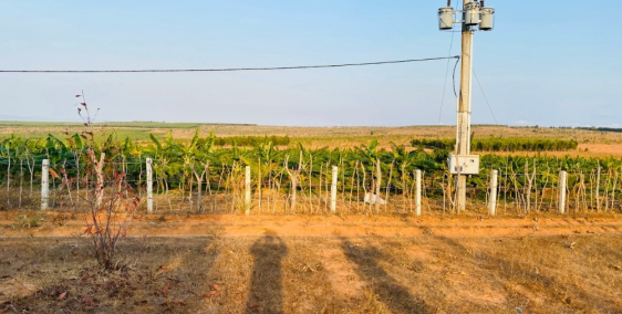 Bán 22742m2 đất trồng cây Lương Sơn Bắc Bình chỉ 50 ngàn/m2 Lh 0938677909