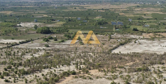 Nam Á Garden - Đất Bình Thuận siêu rẻ chỉ từ 50nghìn/m2, đã có sổ, gần Novaworld