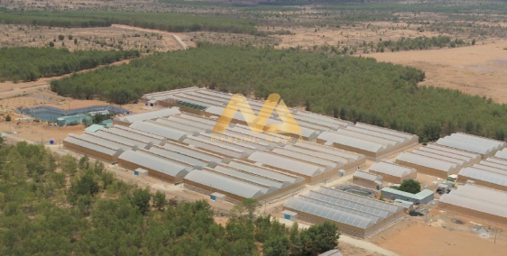 Chỉ từ 50 nghìn/m2 sở hữu ngay đất vườn Nam Á Garden, sổ sẵn có, mua là lời ngay