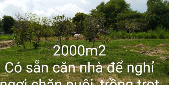 Bán 2000m2 đất vườn tại Đất Đỏ, tỉnh BR-VT giá đầu tư.