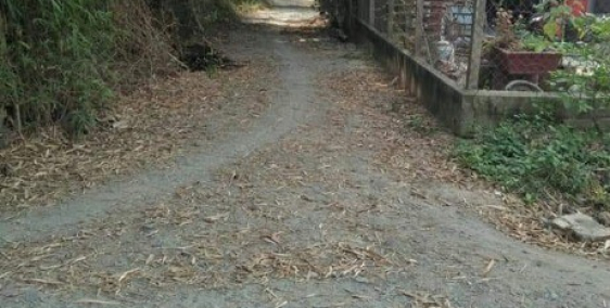 BÁn đất bao rẻ bèo nhèo tại Đức Hòa