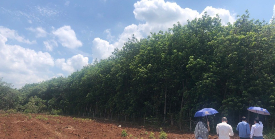 Bán đất phân lô tại mặt đường lớn Phước Bình, Long Thành. Sổ hồng. LH: 097969100